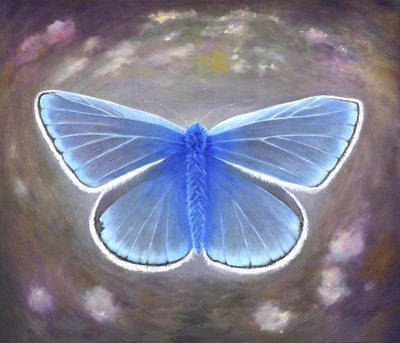 Uncommon Blue by Helen White